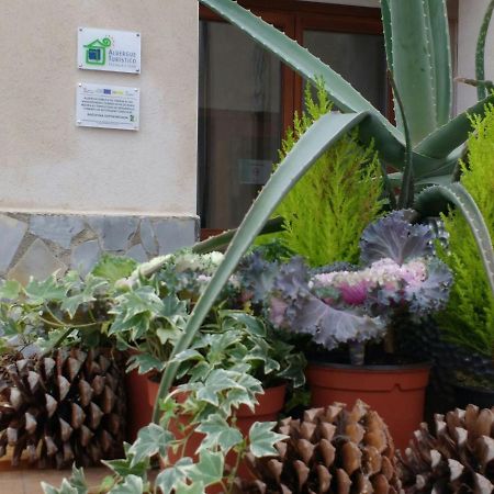 Albergue Turistico Tierras Altas Fuentes de Magana Bagian luar foto